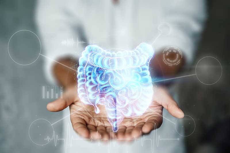 Digestive System