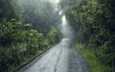 4 Tips for Enjoying Rain Guilt-free