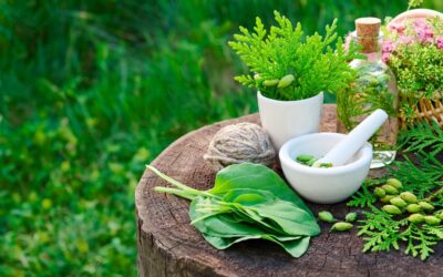 Empower Your Health: Natural Remedies for 9 Common Ailments Unveiled