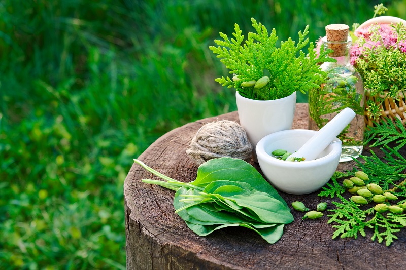 Empower Your Health: Natural Remedies for 9 Common Ailments Unveiled